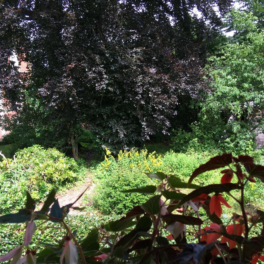 Holiday Home "Les Ancolies " Gite Citadin Spa Zewnętrze zdjęcie